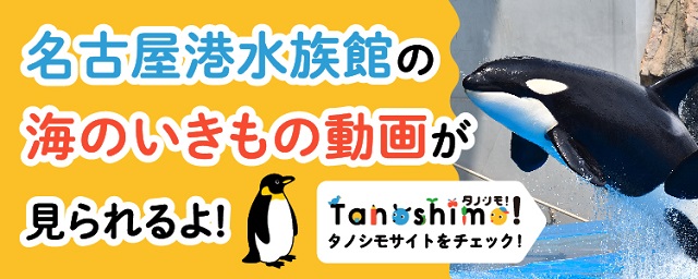 タノシモ -tanoshimo-